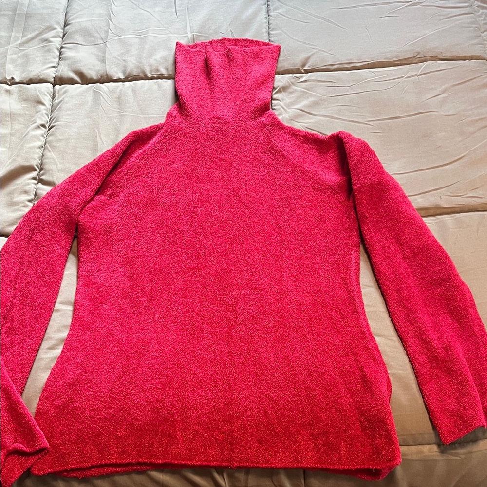 GAP Scarlet Turtleneck Sweater